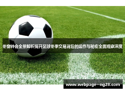 冬窗转会全景解析揭开足球冬季交易背后的运作与秘密全面观察深度